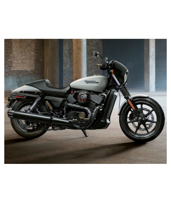 Support de plaque d'immatriculation latérale avec éclairage LED pour Harley-Davidson 750 Street