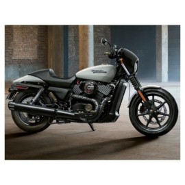 ARG Spirit: Support de plaque d'immatriculation latérale avec éclairage LED pour Harley-Davidson Softail 18 Slim, Street Bob, De
