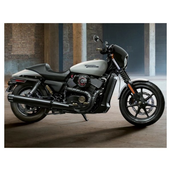 ARG Spirit: Support de plaque d'immatriculation latérale avec éclairage LED pour Harley-Davidson Softail 18 Slim, Street Bob, De