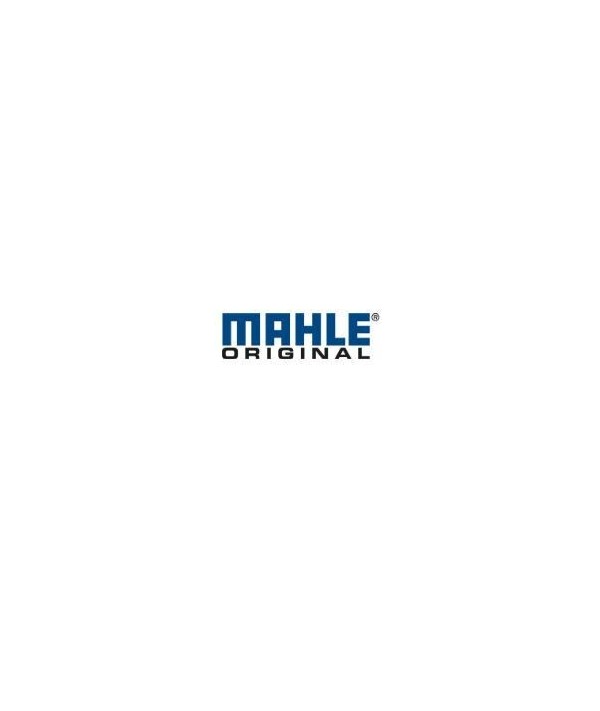 MAHLE